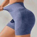 Panty Levantacola